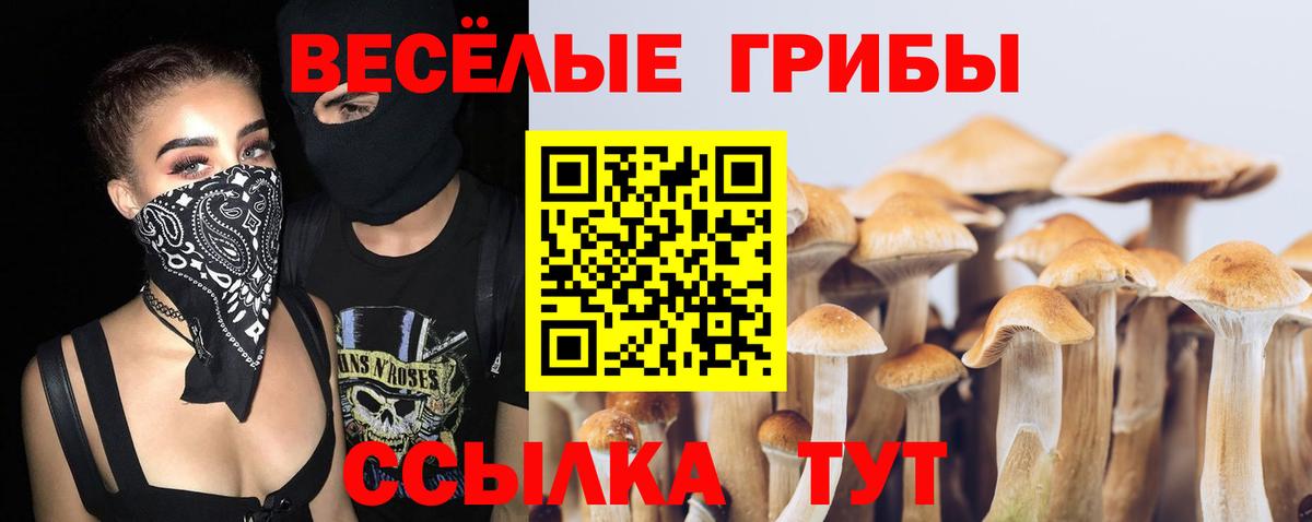 Псилоцибиновые грибы GOLDEN TEACHER  Галлюциногенные грибы мицелий  Вход с VPN  Калининград 